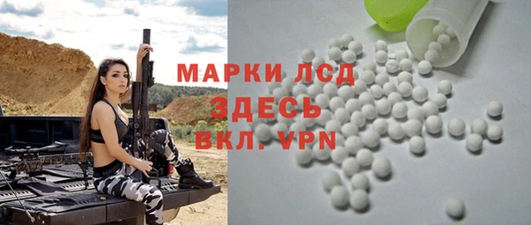 индика Абаза