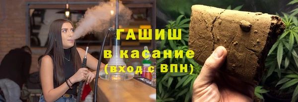 индика Абаза