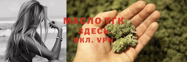 индика Абаза