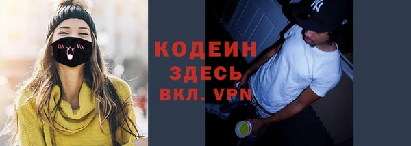 индика Абаза