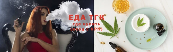 индика Абаза