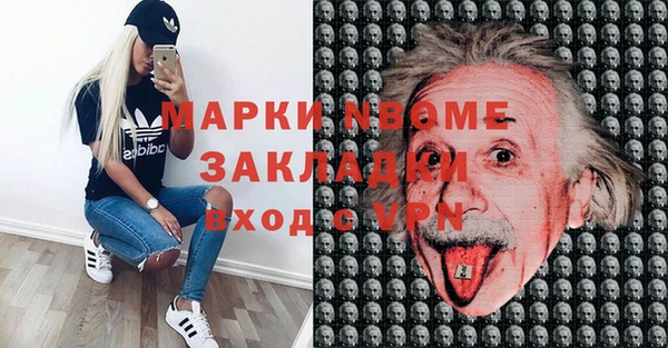 индика Абаза