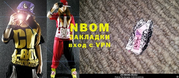 индика Абаза
