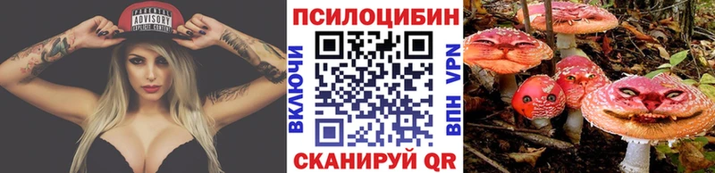 Псилоцибиновые грибы мицелий  Сухиничи 